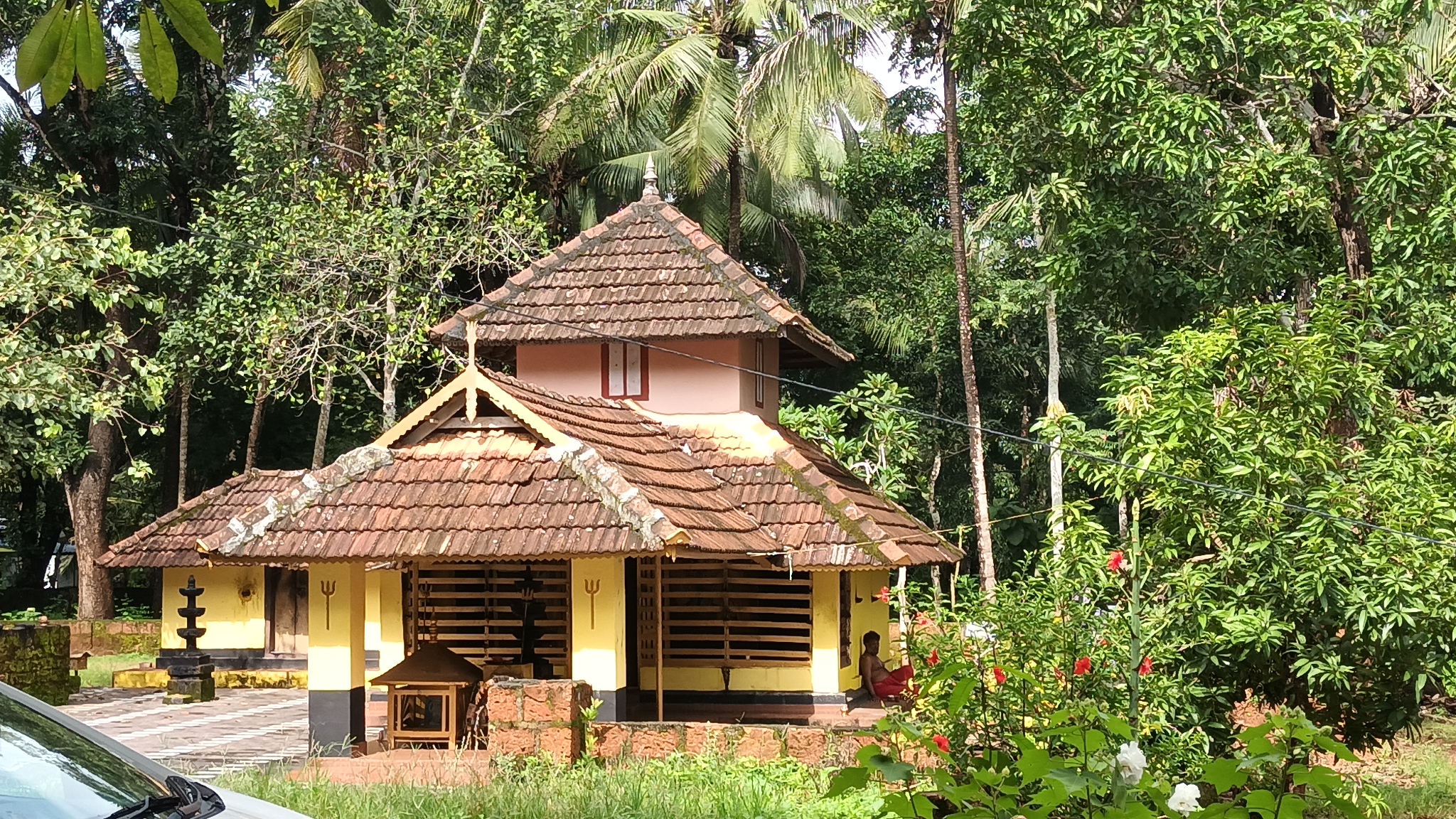 Elephant image